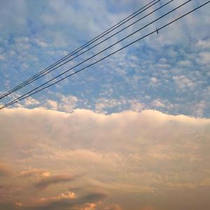 97免费在线观看
