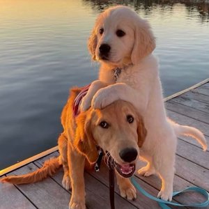 女人自己扒荫道口自慰
