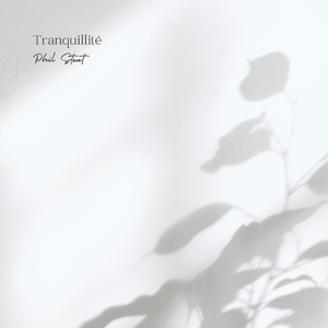 97免费在线观看
