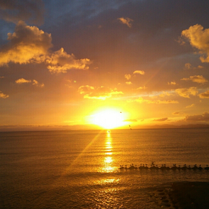 97免费在线观看
